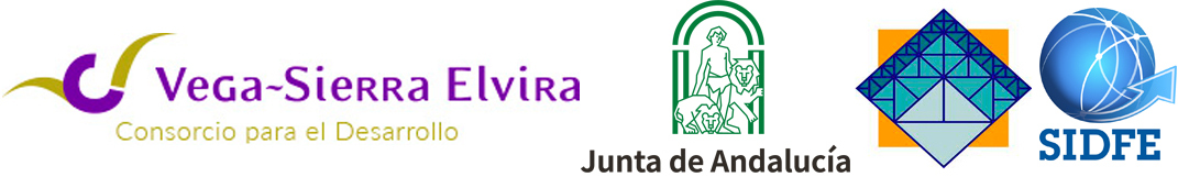 Campus Virtual SIDFE